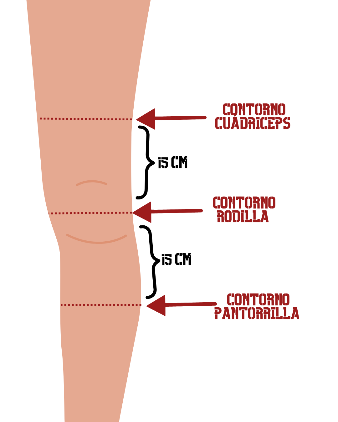 Ragnarok Knee Sleeves 2.0 (Rodilleras Rígidas)